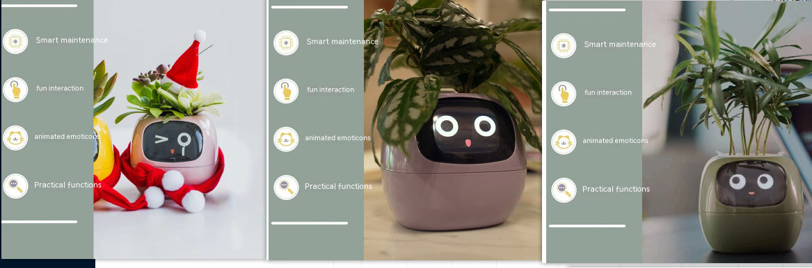 Smart plant with a face on a table, shown from different angles.