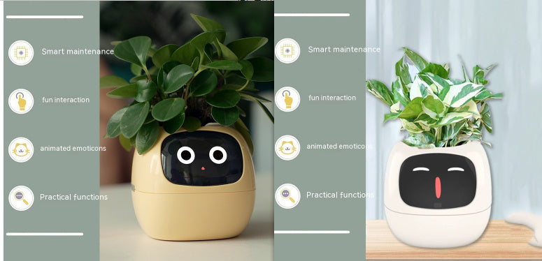 Smart plant pot with a face on a table, surrounded by text labels.