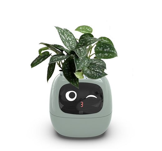 Smart plant pot with a face design on a white background